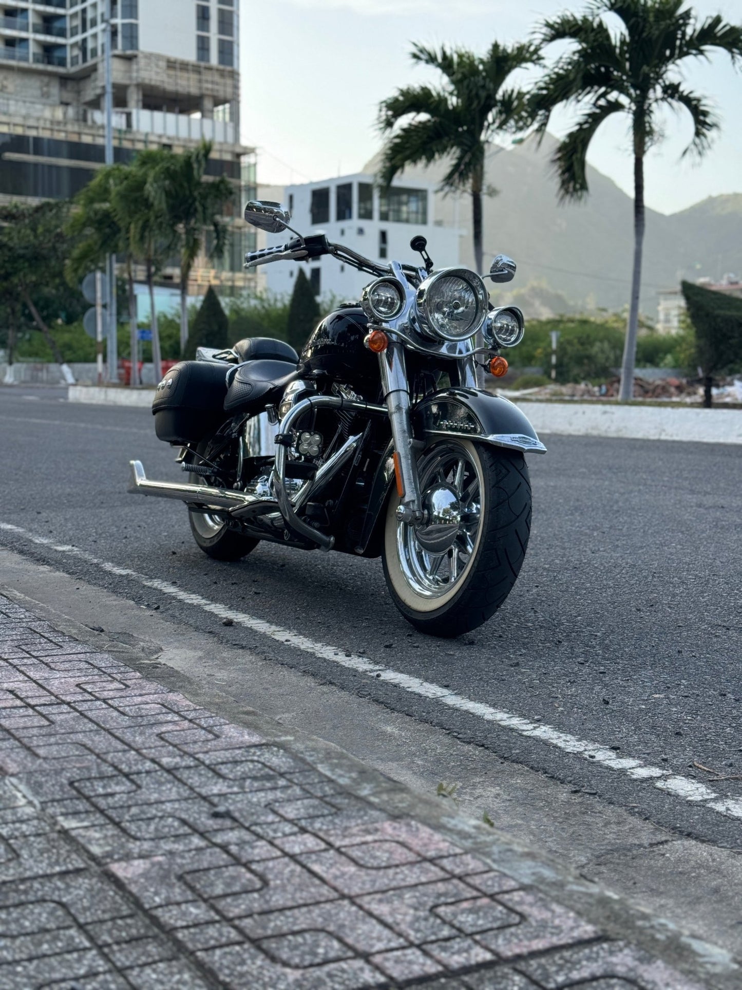 Harley Davidson - Soft Tail - Creo Vietnam