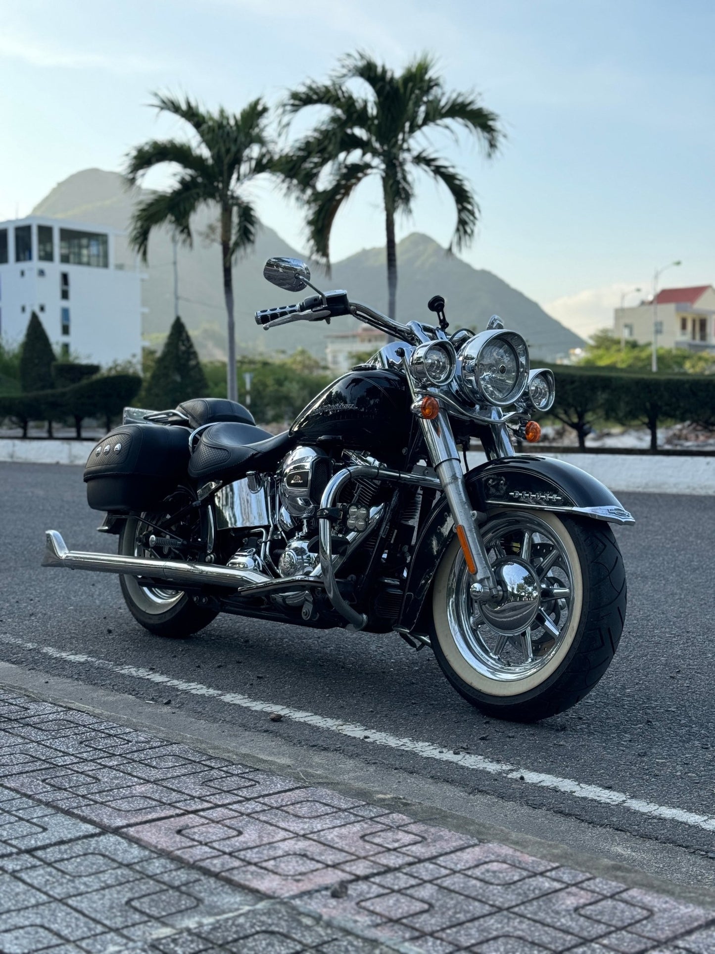 Harley Davidson - Soft Tail - Creo Vietnam